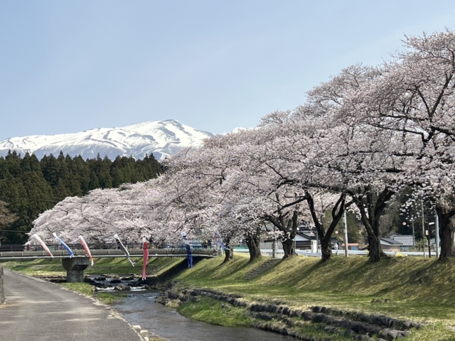 高齢の独居（一人暮らし）は不幸？