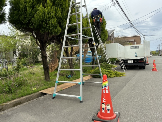 庭木にも福祉を！！