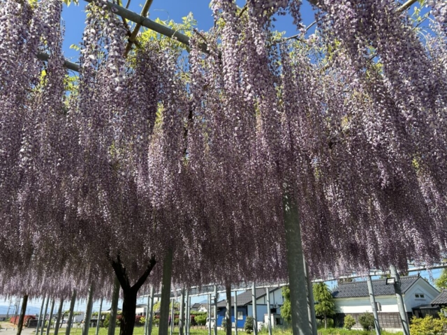 休憩するよ！！社会福祉士の日常