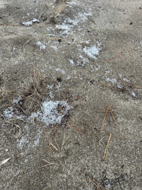 積雪！？社会福祉士の感慨