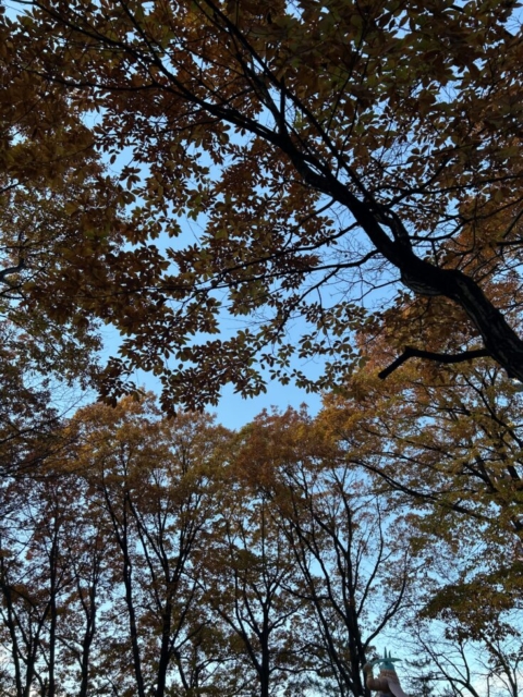 死後事務！社会福祉士の訴え