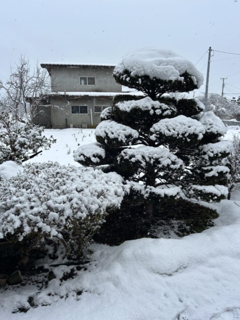 いよいよです！社会福祉士の心機一転
