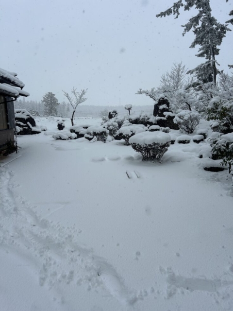 大雪注意報！！社会福祉士の警戒