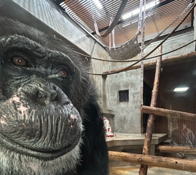 息子よ！社会福祉士の動物園