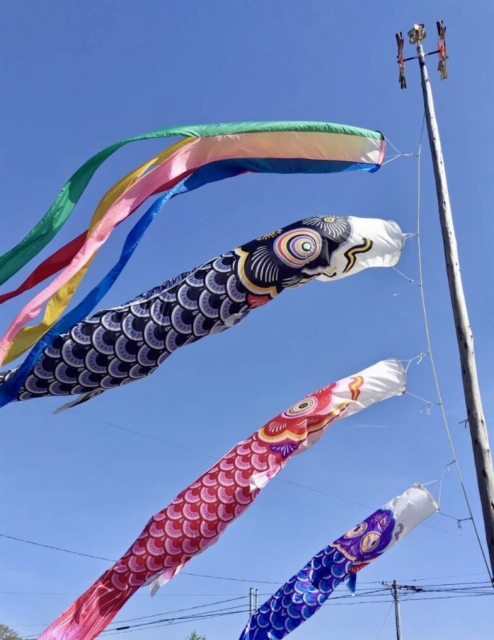 こどもの日！！社会福祉士の祝日