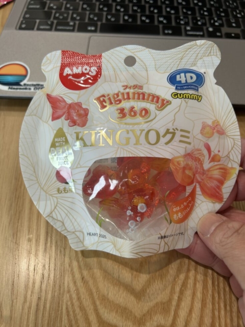 KINGYOグミ！！社会福祉士の違和感