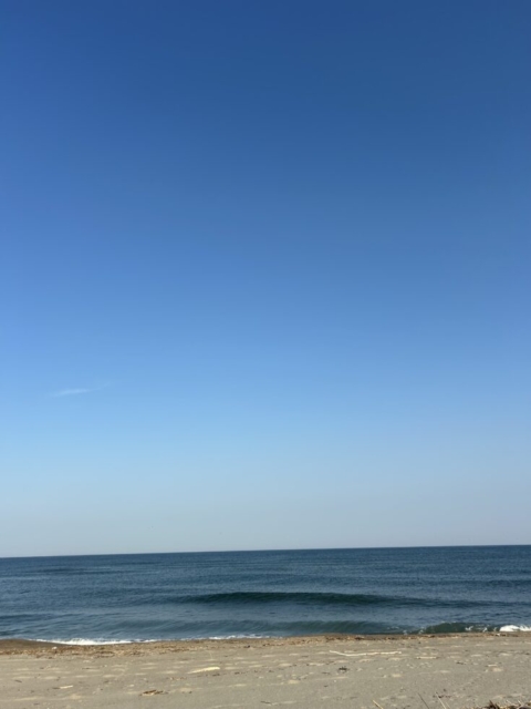 本日は晴天なり！！社会福祉士と海