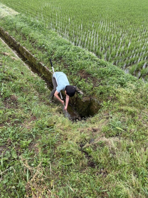 生物観察！！社会福祉士の田舎遊び