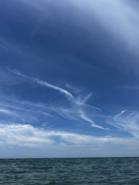 社会福祉士冥利に尽きる!!社会福祉士の励み