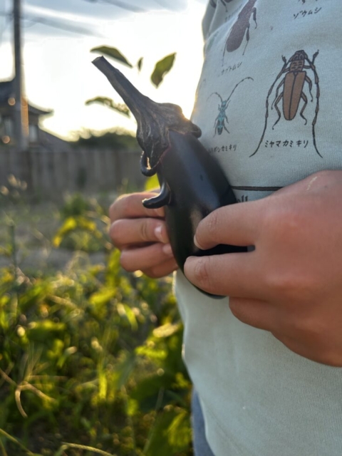 ピノキオ?社会福祉士の農園
