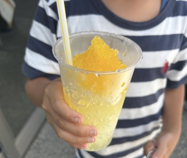 パインサイダー!!社会福祉士の懐古