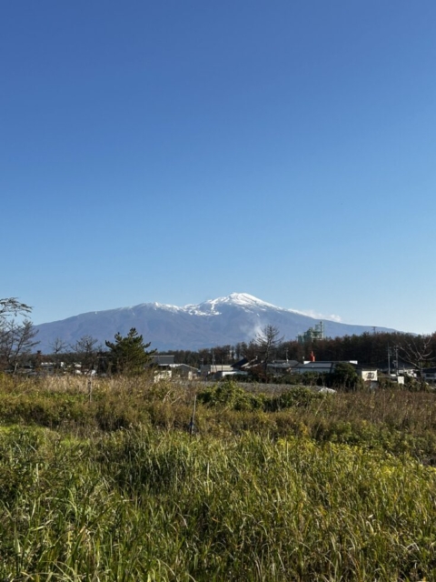 ３連休！！社会福祉士の資料作り