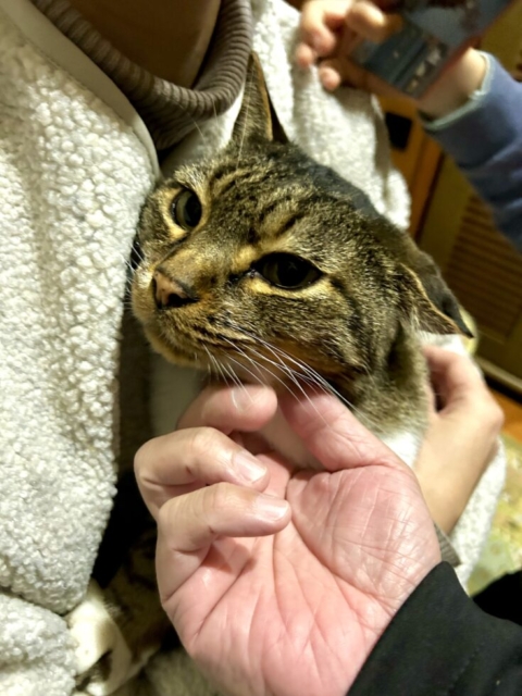 身寄りない高齢者支援、新規事業立ち上げを要望〈全社協〉！！社会福祉士の危惧