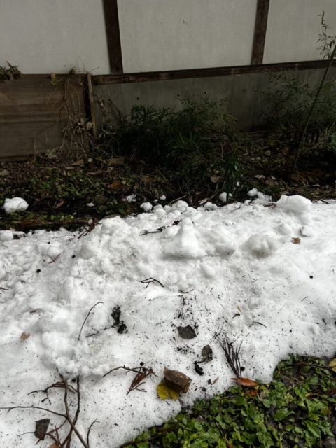 山形出張！！社会福祉士の驚き