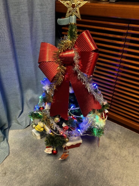 雪遊び！！社会福祉士の準備