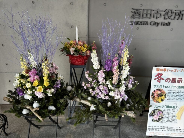 視野の広さ！！社会福祉士と華