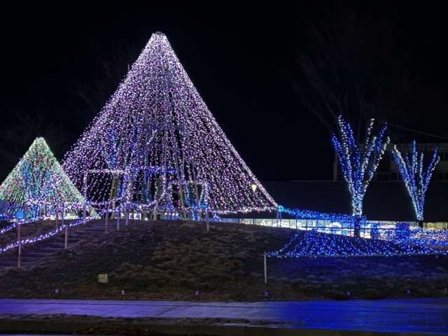 思わず驚嘆！！社会福祉士とイルミネーション