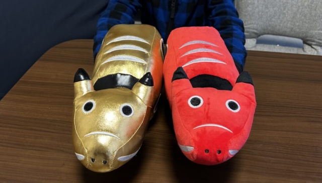 縁起物？社会福祉士の休日