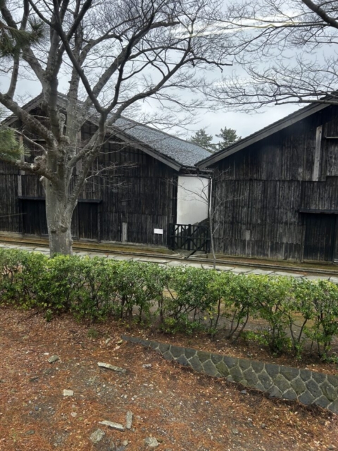 やんばいやんばい！社会福祉士の息抜き