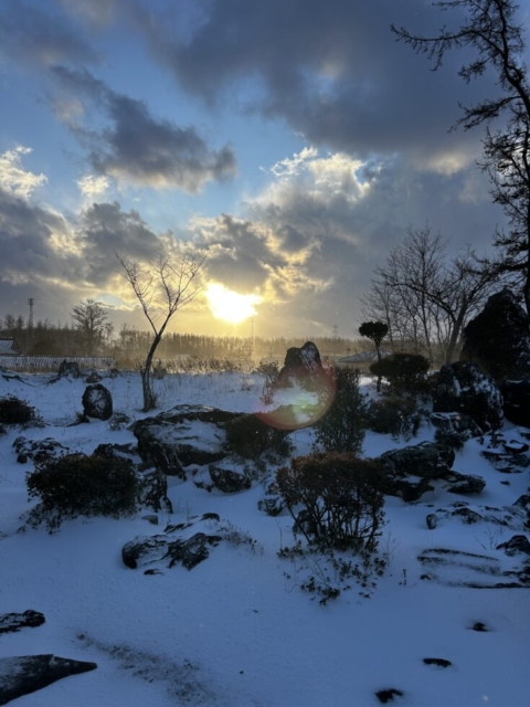 寒波到来！！社会福祉士と冬