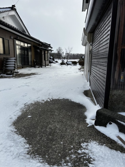 風の力！！社会福祉士の観察