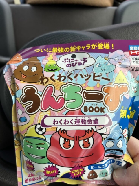 衆議院議員選挙！！社会福祉士の関心