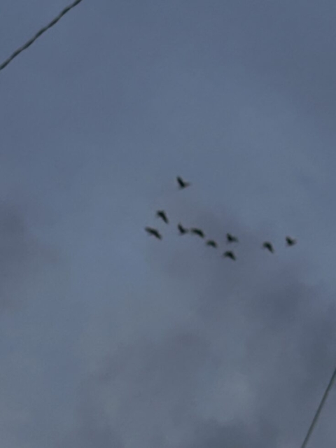 北の国へ！！社会福祉士の微笑み