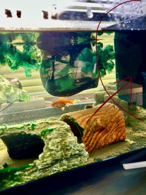 衝撃！！社会福祉士と脱走者