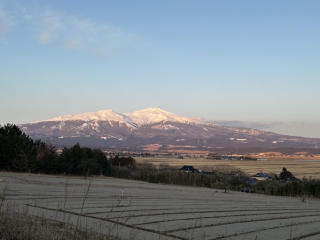 ありがたい！！社会福祉士の感謝