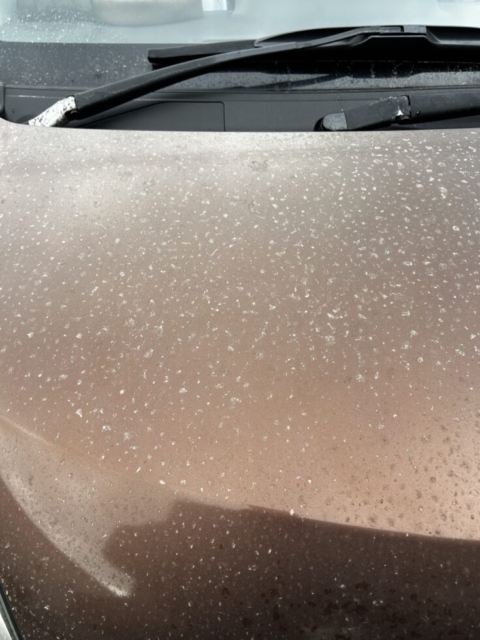 残念！！社会福祉士と黄砂の雨