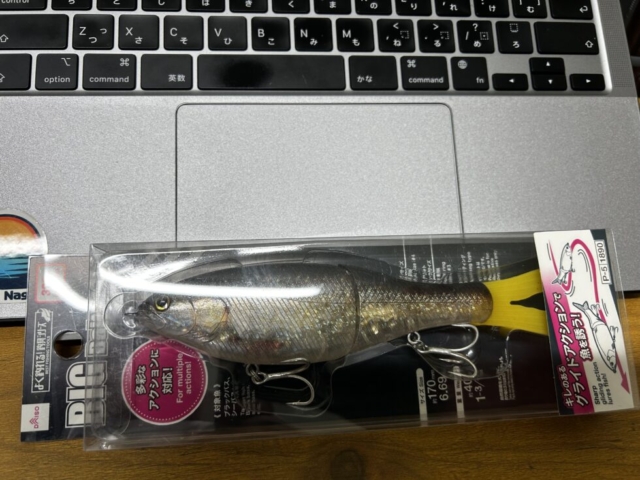 ビッグベイト！！社会福祉士の妄想