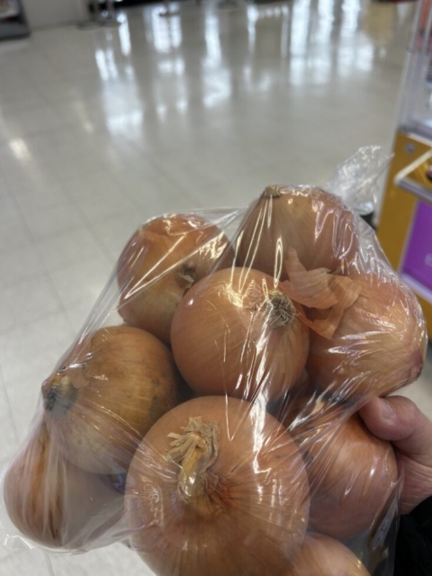 熱中注意！！社会福祉士とタマネギ