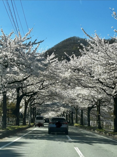 山形市へ！！社会福祉士とさくらライン