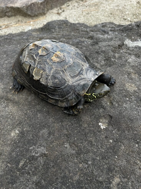 覚醒！！社会福祉士と家族