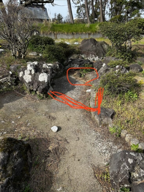 亀池！！社会福祉士の妄想