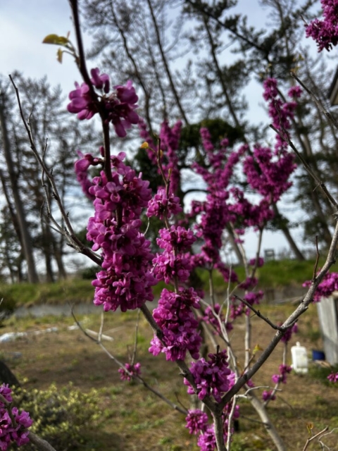 新しい知識！！社会福祉士は不謹慎