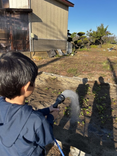 ここだけは！！社会福祉士といちご