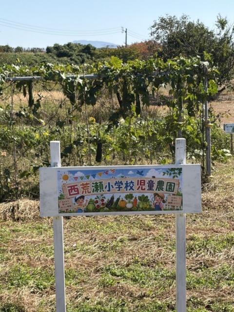 今更ですが！！社会福祉士は看板をつくる