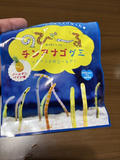 チンアナゴ！！社会福祉士はグミを食す